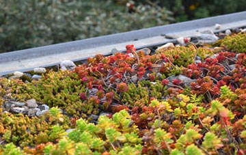 the cost of Sherwood Park green roof installation